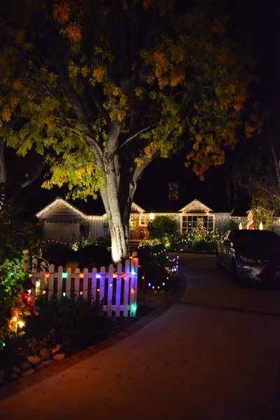 DSC_5797 (Large).JPG